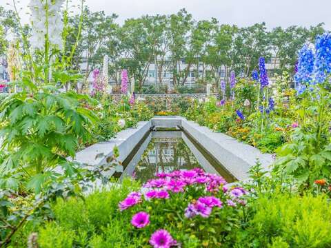 走進台北玫瑰園，被層層花海溫柔包圍(圖片來源：臺北市政府工務局公園路燈工程管理處)