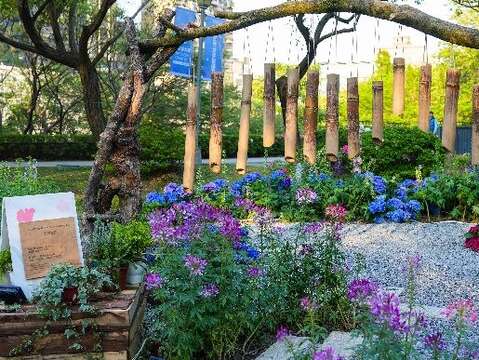 歡迎民眾於台北杜鵑花季期間來大安森林公園，賞花踏青共享春日美景。(圖片來源：臺北市政府工務局公園路燈工程管理處)