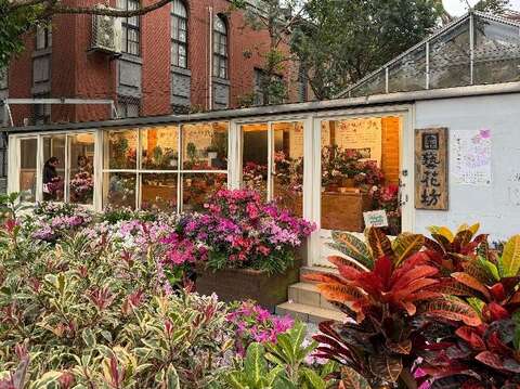 國立臺灣大學-杜鵑花種類和品種特展於園藝花坊展出(國立臺灣大學園藝暨景觀學系提供)