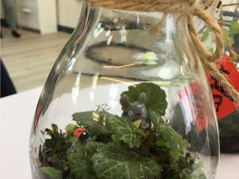 植物景色生態瓶(圖片來源：臺北市政府工務局公園路燈工程管理處)