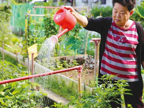 TAIPEI 2016夏季号 Vol.04—街に息づく緑の光 都市全体がわたしの菜園