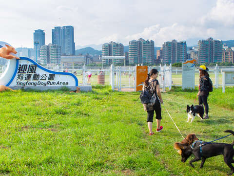 迎風狗動物公園是全台首創的狗運動公園，假日常可見民眾帶著毛小孩來此嬉戲。（施純泰攝）