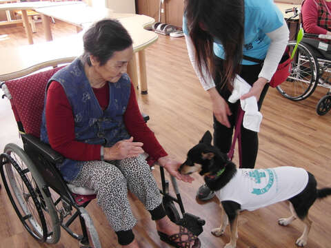 狗醫生「黑桃二」在護理之家和長輩貼心互動。（圖／台灣狗醫生協會提供）
