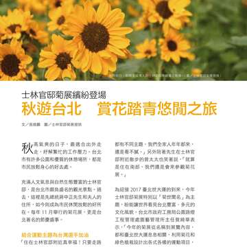 台北畫刊586期(105年11月)