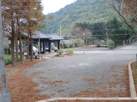 圖10  預計年尾落羽松美景
