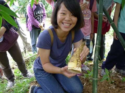 Wenshan Tea and Bamboo Shoots Folk Culture Festival