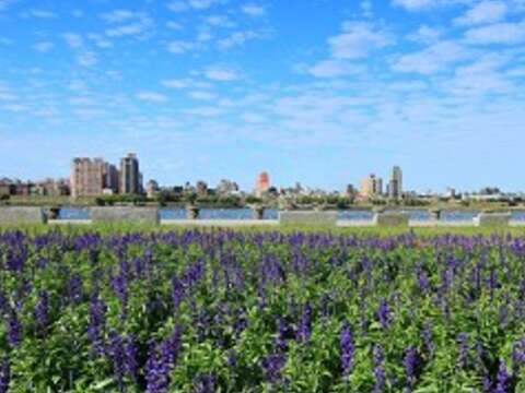 Flower Haven at Yanping Riverside Park