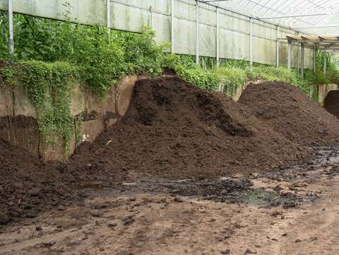 動物園蒐集草食動物糞便與食餘枝葉、枯枝落葉混和，經數個月的製程後成為可改良土壤的腐熟有機質資材(圖片來源：臺北市立動物園)