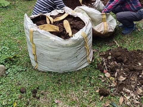 林雍善隊長帶隊，將花卉中心提供腐植土一批批搬運到生態池。(圖片來源：臺北市政府工務局公園路燈工程管理處)