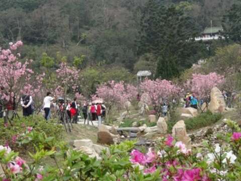 2017陽明山花祭
