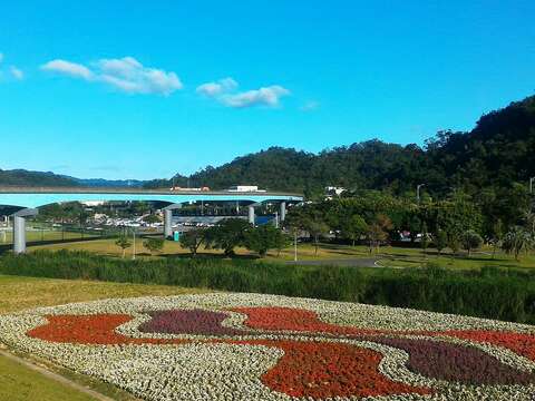 貓纜打卡新「嬌」點  道南河濱圖騰花海好美