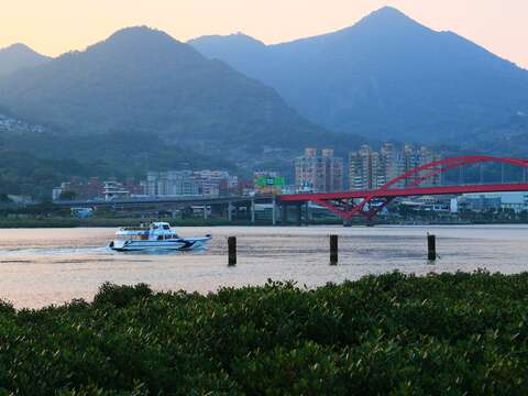 北市河濱花海齊放  春節出遊首選