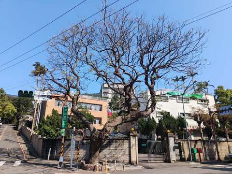 從郵政訓練所旁巷道向上可到達步道口(圖片來源:臺北市政府工務局大地工程處)