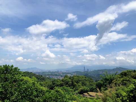 來貓空走走吧！喝好茶、看美景、享好康一次滿足(圖片來源：臺北市商業處)