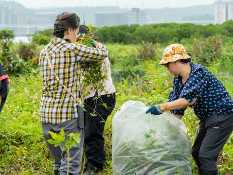 大家一起齊心協力維護鹵蕨的棲地(圖片來源：臺北市政府工務局水利工程處)