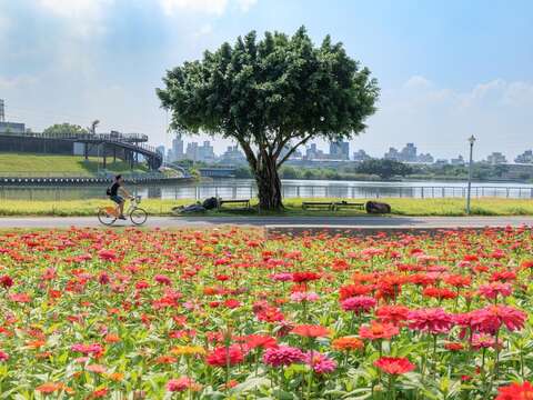 Heshuang No.21 Riverside Park (Photo Credit: Hydraulic Engineering Office, Taipei City Government)
