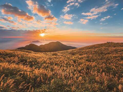 Taipei Grand Trail Section 2: Datun Mountain (Photo Credit: Geotechnical Engineering Office, Taipei City Government)