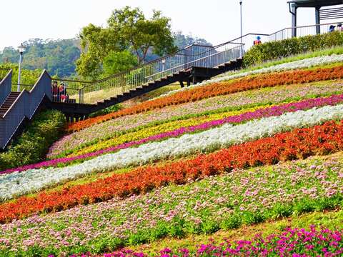 Flowers in Taipei