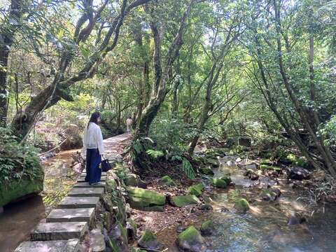 水車寮水圳步道，伴隨著潺潺錞流水步行(圖片來源：臺北市政府工務局大地工程處)