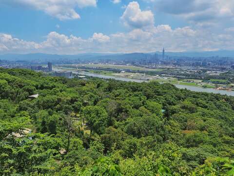 圓山風景區市區觀景平台俯瞰樹海(圖片來源：臺北市政府工務局大地工程處)