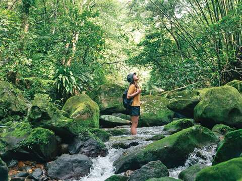 P10-13 風格山旅-1 @蔡耀徵-圓覺寺步道沿途鬱綠森林與潺潺溪流相伴，讓人身心沉靜放鬆。（攝影／蔡耀徵）