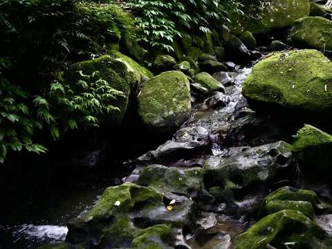 凹凸不平的壺穴景觀(圖片來源:臺北市政府工務局大地工程處)