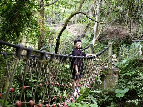 壺穴吊橋(圖片來源:臺北市政府工務局大地工程處)