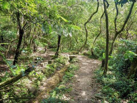 雙溪溝古道(圖片來源:臺北市政府工務局大地工程處)