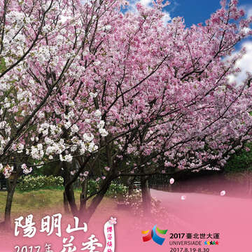 花季賞花不塞車，山下停車享優惠