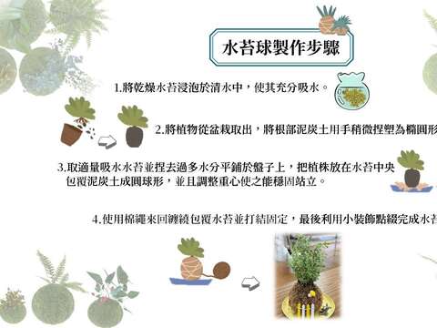 水苔球製作步驟。