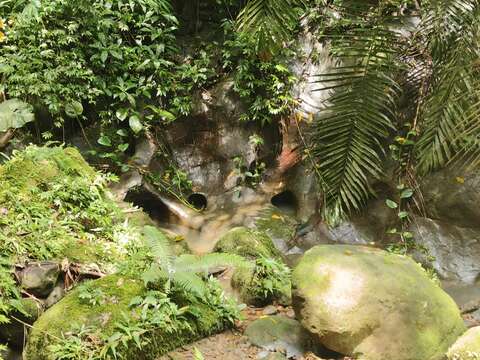 豹山溪河床(圖片來源:臺北市政府工務局大地工程處)