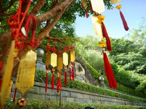 體驗含指南宮祈福卡，可將願望掛在樹上，讓祝福隨風傳遞。(圖片來源：臺北市政府觀光傳播局)