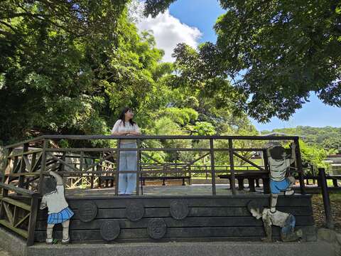 站在百年無患子平台(圖片來源:臺北市政府工務局大地工程處)
