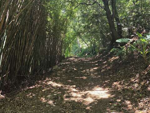 橫嶺古道(圖片來源:臺北市政府工務局大地工程處)
