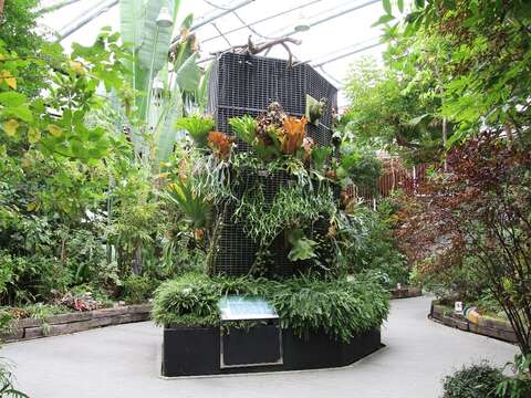 臺北典藏植物園環境舒適適合市民前往休閒參觀。(圖片來源：臺北市政府工務局公園路燈工程管理處)