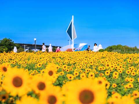 許多名眾前來觀賞(圖片來源：臺北市政府工務局大地工程處)