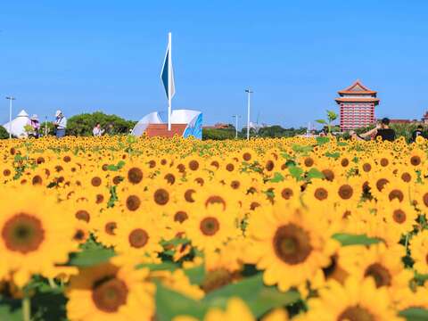 民眾於花海中(圖片來源：臺北市政府工務局大地工程處)
