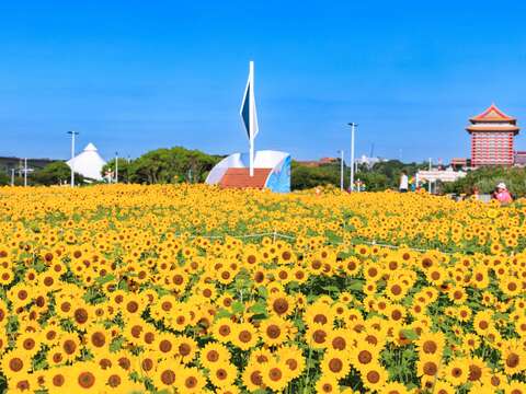 大佳河濱花海與眺望台(圖片來源：臺北市政府工務局大地工程處)