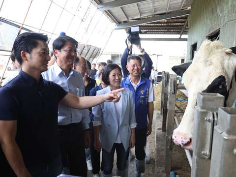 臺北市「鮮奶週報」本土酪農業考察－台北市長看牛（圖片來源：臺北市政府秘書處媒體事務組）
