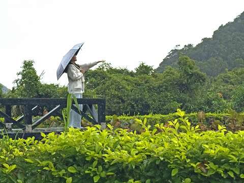 同心池近拍（圖片來源：臺北市政府工務局大地工程處）