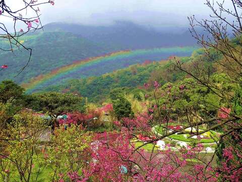 2026 YangMingShan Flower Festival