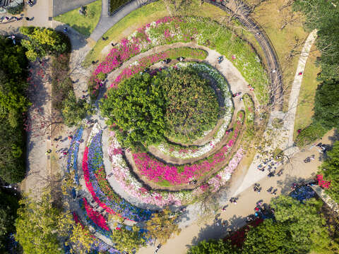 台北杜鵑花季-大安森林公園杜鵑花心心空拍照