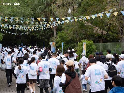路跑活動讓大小朋友滿足在動物園內跑步運動的好奇想像（圖片來源：臺北市立動物園）