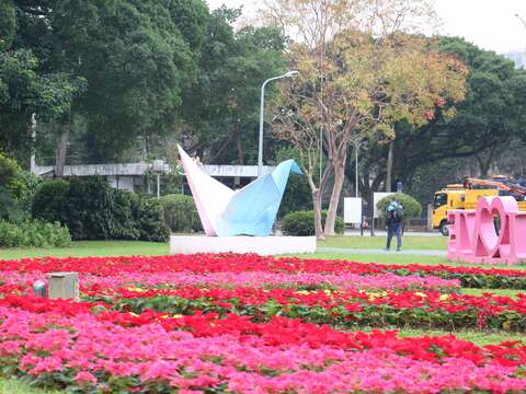 青年公園花鐘前換個角度彷彿紙雕般徜徉於聖誕紅中（圖片來源：臺北市政府工務局公園路燈工程管理處）