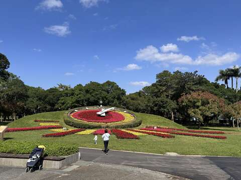2月份最應景的聖誕紅為青年公園花鐘換裝（圖片來源：臺北市政府工務局公園路燈工程管理處）
