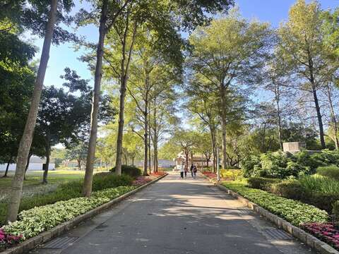 大安森林公園建國花市對面的公園2號出口也換上了3色聖誕紅（圖片來源：臺北市政府工務局公園路燈工程管理處）