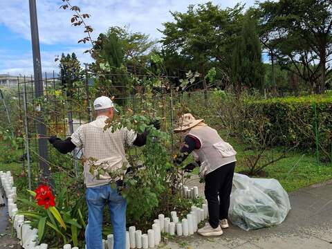 花海區志工修剪身影。(圖片來源:臺北市政府工務局公園路燈工程管理處)