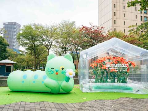 The gardener of "Flower in Taipei," "Meow," makes 