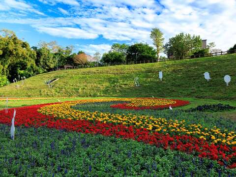 A Must-See This New Year’s Holiday: Sea of Flowers in Spectacular Bloom at Dagouxi Ecology and Water-Control Park