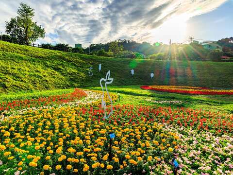 A Must-See This New Year’s Holiday: Sea of Flowers in Spectacular Bloom at Dagouxi Ecology and Water-Control Park